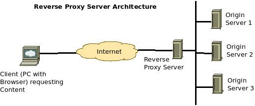 proxy4